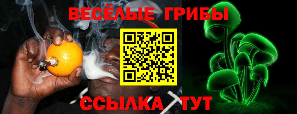 Лениногорск  Галлюциногенные грибы мухоморы  Вход с VPN 